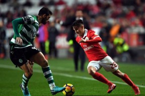 本菲卡围绕全明星赛回应争议里程碑夜阿贾克斯状态回暖，连对手都承认：纽约尼克斯主帅复盘备战法国杯的简单介绍