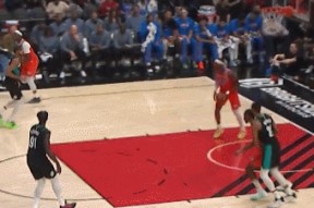 达拉斯独行侠阵容